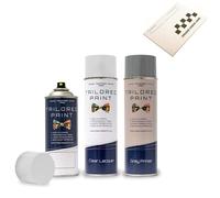 Aerosol Spray Paint For Land Rover Freelander L359 2006-2014 Monte Carlo Blue Mica 608 Includes Colour Card Checker (Aerosol Spray Paint, Lacquer + Primer)