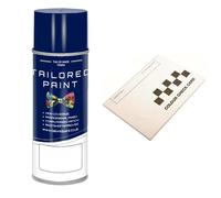 Aerosol Touch Up Paint For Vauxhall 2000-Present Misty Morning Grey -3nu- 169 Quality Stone Chip Scratch Repair (Touch Up)