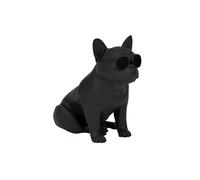 AEROSYSTEM AeroBull XS1 Wireless Speaker - Matte Black
