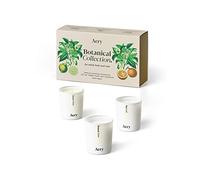 Aery Living Botanical Gift Set of Three Votive Candles