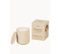 Aery Fernweh Candle - Himalayan Cedarleaf