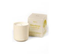 Aery Himalayan Cedarleaf Votive Soy Wax Candle - Cardamom, Cedarleaf, Patchouli & Lemon with 100% Plant Based Wax & 25 Hour Burn Time (130g)