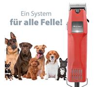 Aesculap Favorita II Powerful Reliable Clipper + 3 Mm Cutting Head GT104