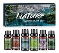 Aeshory Nature Essential Oils for Diffuser for Home 6 x 10ML, Aromatherapy Oil Set for Candle Making - Bamboo, Rain, Forest Pine, Sandalwood & Rose, Lavender & Chamomile