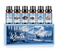 Aeshory Winter Essential Oils Set 6 x 10ml, Natural Diffuser Oils, for Scented Candle Making - Frozen Magic, Winter Wonderland, Crackling Log Fire, Warm Sweater, Frosted Fir, Hot Cocoa