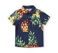 Aeslech Boy's Button Down Pineapple Hawaiian Shirt, Short Sleeve Casual Beach Tropical Party Tops Summer Tops Blue Yellow Tag 120CM - 5Y