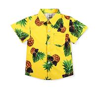 Aeslech Little Big Boy's Button Down Hawaiian Shirt Lightweight Pineapple Summer Clothes Tropical Party Yellow 120CM - 5Y