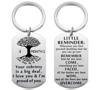 Aesnefe Addiction Recovery Gift Sobriety Keychain Sober Anniversary AA NA Recovery Recovering Alcoholic Recovery Medallion, Silver, Medium