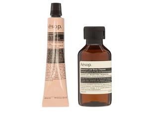 Aesop Greetings in the Guestrooms Hand & Body Duo