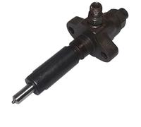 AEspares Fuel Injector Nozzle Compatible With Massey Ferguson Tractor