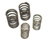 AEspares Head Valve Springs Kit Fits For Royal Enfield 350cc