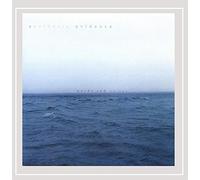 Aesthetic Evidence - Words & Voices