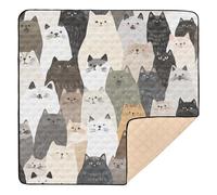 Aesthetic Ragdoll Cats Large Stylish Baby Activity Play Mat for Floor Washable Travel Play Mat for Baby Kids Toddlers Infants, 50'' x 50''