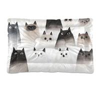 Aesthetic Ragdoll Cats White Balck Washable Pet Mattress Non-Slip Soft Comfortable Dog Crate Mat for Medium/Large Dogs 36" x 24"