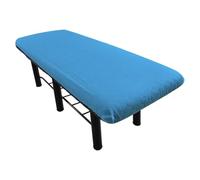 Aesthetic Stretcher Sheets - Blue, Non-Woven, Waterproof, Proof, Dust Cover, , Stretcher Cloths, 5 Pack with Elastic Band to Prevent Bed Sheets
