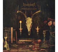 Aether Realm - Redneck Vikings From Hell (LP) [VINYL]