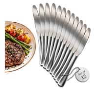 AEX Stainless Steel Dinner Knives Set of 12 Cutlery Knives, Dishwasher Safe | Rust-resistant stainless steel, ergonomic grip, mirror finish, dishwasher-safe care, durable design, everyday dining