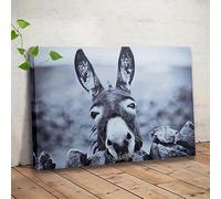 AEXOIO Canvas Painting, Winter Wonderland Donkey Wall Art Print - Black & White Farm Animal Decor for Home Rustic Barnhouse Style(40x60cm/16x24in/Unframed)