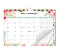 AEYAKA Wall Calendar 2025 2026 Calendar, Monthly Hanging, 16 Months September 2025 - December 2026 with Holiday Overview, Moon, 30 cm x 43 cm French