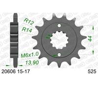 AFAM 20606-16 Chain Pinion