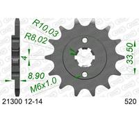 AFAM 21300-13 Chain Pinion