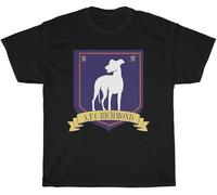 AFC Richmond T Shirt Be A Goldfish Dani Rojas is Life Ted Lasso Tee Black
