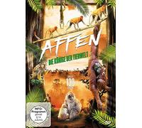 Affen - Die Könige der Tierwelt