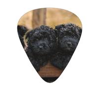 Affenpinscher Family Puppies Black Dogs Monkey,12 Pcs Guitar Pick,3 Different Thickness Plectrums for Acoustic Guitar Bass Ukulele (0.46mm 0.96mm 0.71mm)