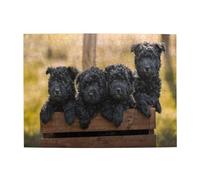 Affenpinscher Family Puppies Black Dogs Monkey,500 Pieces Puzzles for Adults-Wooden Jigsaw Puzzle for Adults Elderly