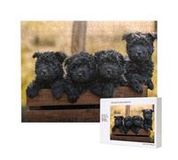 Affenpinscher Family Puppies Black Dogs Monkey,500 Pieces Wooden Jigsaw Family Game Jigsaw Puzzles for Adults Teens Home Decor