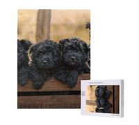 Affenpinscher Family Puppies Black Dogs Monkey,500 Pieces Wooden Jigsaw Family Game Jigsaw Puzzles for Adults Teens