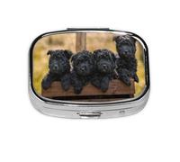 Affenpinscher Family Puppies Black Dogs Monkey,Meta Pill Box 2 Compartment Medicine Case,Portable Organizer
