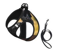Affenpinscher Family Puppies Black Dogs Monkey,Pet Harness,Adjustable Reflective Dog Harness,Pet Leash Vest,L