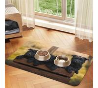 Affenpinscher Family Puppies Black Dogs Monkey,Waterproof Pet Feeding Mat,PU Leather Placemats for Cat Dog Water Bowl,Food Mats,30x45cm