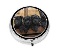 Affenpinscher Family Puppies Black Dogs MonkeyMeta Pill Box 3 Compartment Medicine Case,Portable Organizer