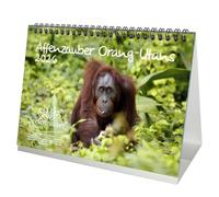 Affenzauber Orangutans DIN A5 Desk Calendar for 2026 Monkeys - Gift Set Contents: 1x Calendar, 1x Christmas Pendant, 1x Greeting Tag (Total 3 Pieces)