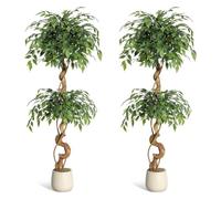 AffinityFurn 4FT Artificial Ficus Tree, Curved Trunk Faux Silk Plant, Lifelike Fake Silk Tree with Modern White Pot, Faux Ficus Tall Plant for Home, Office, Living Room, 2PCS