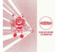 Afflecks Palace - Only Light in This Tunnel Is the Oncoming Train [VINYL]