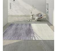 Affordable Gray Area Rug 80x140CM for Boys' Bedroom - Dirt-Resistant, Easy to Clean Living Room Carpet, Stylish Floor Decor for Kids' Rooms and Play Areas. (Gray. 70 x 120 cm (Rectangular))