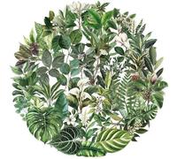 Affoto Transparent Green Plant Stickers (50 PCS), Waterproof & Sun Protection, Ideal for Smooth Surfaces, PVC Material, Eclectic Style, Round Leaf Shape, Outdoor Usage