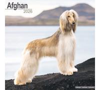 Afghan Calendar 2026 Square Dog Breed Wall Calendar - 16 Month