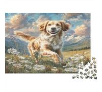 Afghan Hound 1000 Pieces Jigsaw Puzzles for Adults & Children, Recycled Cardboard, Non-Reflective, Golden Retriever Field, Stress Relief Fun, Great Gift Idea for Home Decor 52x38cm/1000pcs