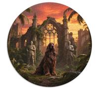 Afghan Hound 1000 Pieces Jigsaws Stress Reliever Difficult Challenge for Adults & Kids Unique Challenge Game Cute Pets Round Puzzles Home Decor Gifts (67.5x67.5cm)