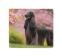 Afghan Hound Dog Bifold Wallets, Slim PU Card Wallet for Women Men with Money Pocket and ID Window