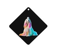 Afghan Hound Dog with Rainbow Hair Car Air Freshener Aromatherapy Tablets Hanging Scented Cards for Rooms Bathrooms Wardrobe Rhombus
