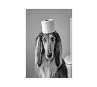 Afghan Hound With A Toilet Paper Roll on The Head,able Bathroom, Vintage Dog Photo, Funny Humor AI Canvas Poster Wall Art Decor Print Picture Paintings for Living Room Bedroom Decoration 16x24inch(40x