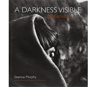 Afghanistan: A Darkness Visible