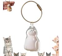 AFGQIANG Cat Fur Storage Bottle Keychain, Cute Pet Hair Keepsake Keyring, Transparent Cat Hair Storage Box, Pendants Capsule Toys, Pet Hair Container Collection, Pet Memorial Gifts Accessories (D)