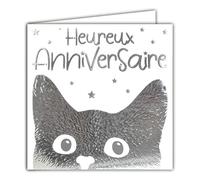Afie 22006 Silver Happy Birthday Cat Kitten Looking Up Texture Fur Card Square Card