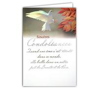 Afie 64-1073 Sincere Condolence Card with White Envelope - Silver Text - Dove Peace Soul